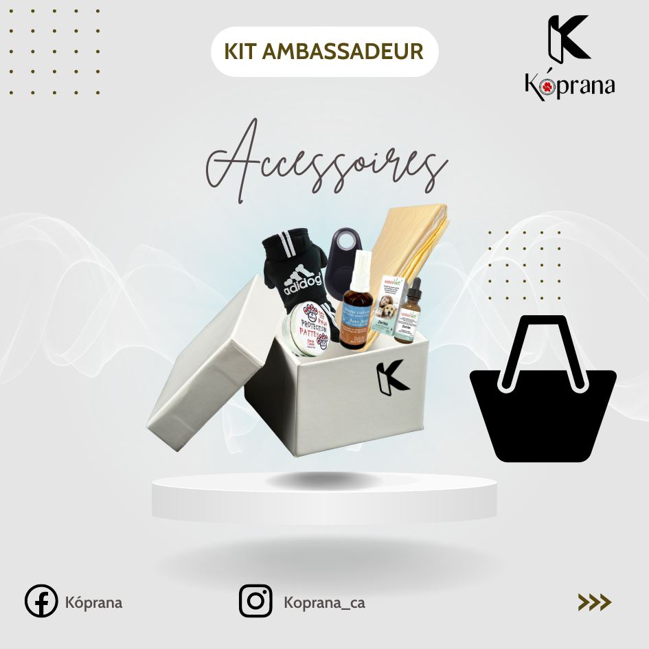 Kit Ambassadeur Accessoires