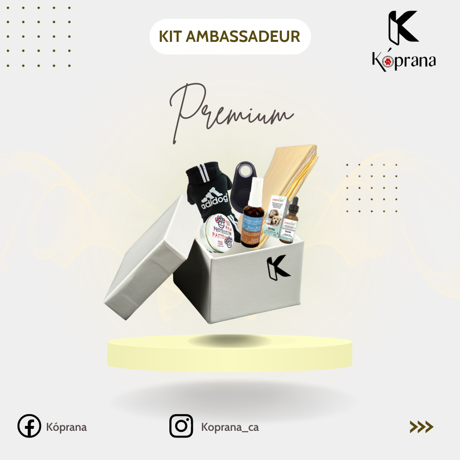 Kit Ambassadeur Premium