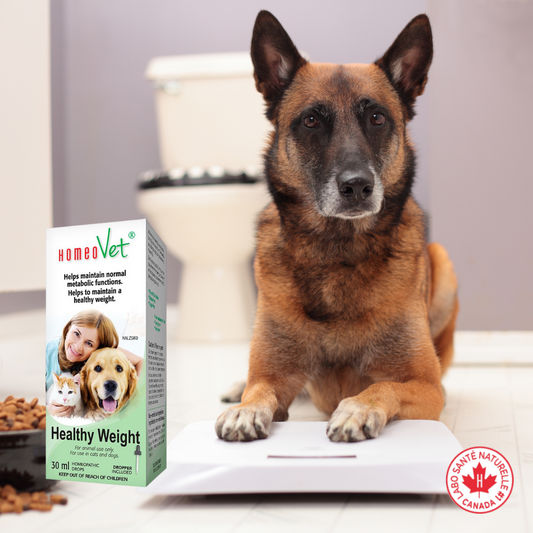 HomeoVet® Healthy Weight