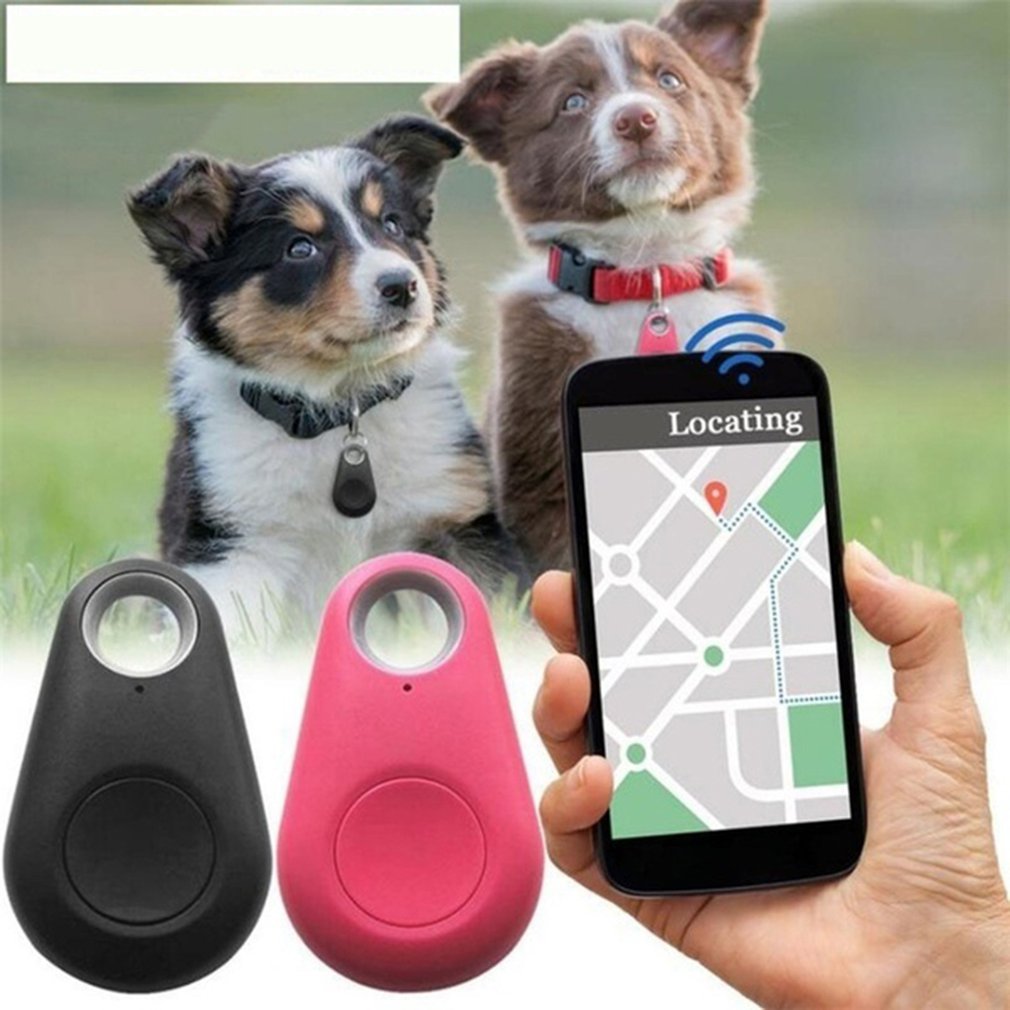 DogTrack™ - GPS pour chien