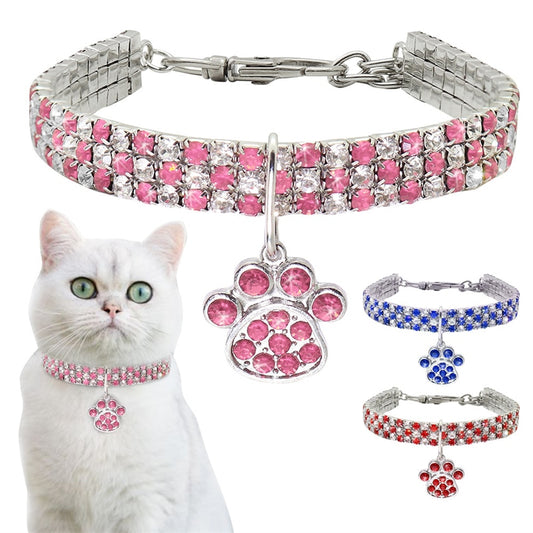 Zircat™ collier pour chat