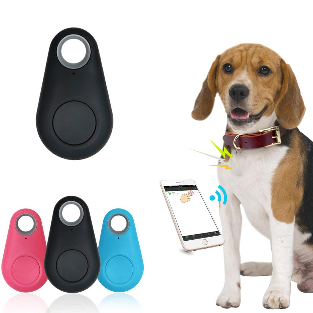 DogTrack™ - GPS pour chien